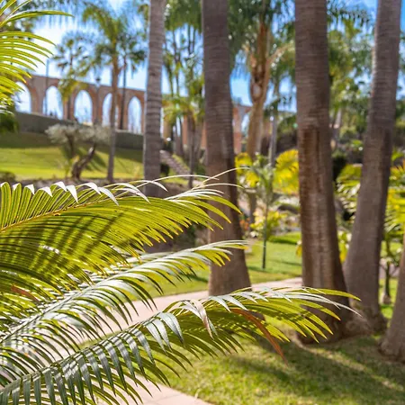 Tetuan 40 Oasis